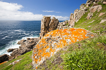 The Cornish coast near Sennen, Cornwall, England, United Kingdom, Europe