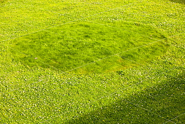 A lawn at Blackwell house being laid out for Lawnpaper, part of the William Morris exhibition, where the environmental artist Steve Messam is cutting the lawns into a William Morris pattern, Bowness, Cumbria, England, United Kingdom, europe