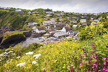 The tiny Cornish fishing village of Cadgwith on the Lizard, Cornwall, England, United Kingdom, Europe