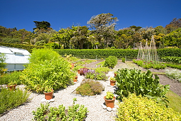 The Abbey gardens on Tresco, Scilly Isles, off South West Cornwall, United Kingdom, Europe