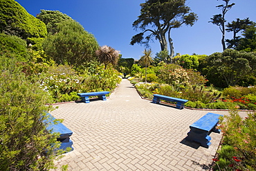 The Abbey gardens on Tresco, Scilly Isles, off South West Cornwall, United Kingdom, Europe