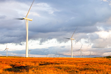 Whitlee wind farm on Eaglesham Moor just south of Glasgow in Scotland, United Kingdom, Europe