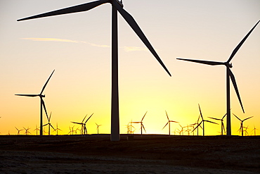 Dawn over Whitlee wind farm on Eaglesham Moor just south of Glasgow in Scotland, United Kingdom, Europe