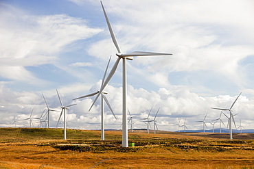 Whitlee wind farm on Eaglesham Moor just south of Glasgow in Scotland, United Kingdom, Europe