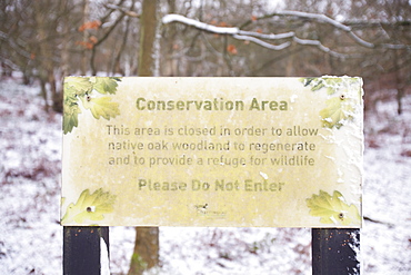 The Outwoods, part of Charnwood Forest on the outskirts of Loughborough, Leicestershire, England, United Kingdom, Europe