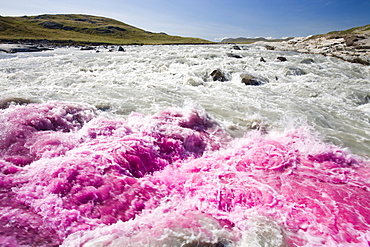 PHD scientist Ian Bartholomew using dye tracing techniques as part of a study to measure the speed of the Russell Glacier near Kangerlussuaq, Greenland, Polar Regions