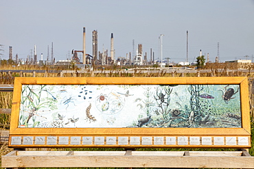 An interpretation board at Salthome RSPB bird reserve in Billingham, Teeside, England, United Kingdom, Europe