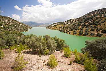 The Iznajar reservoir which powers a hydro electric power station near Antequera in Andalucia, Spain, Europe