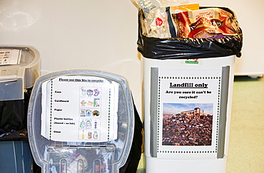 Recycling and rubbish bins in a kitchen at Lagganlia lodges, Cairngorm, Scotland, United Kingdom, Europe