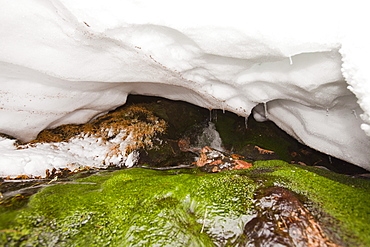 A hole caused by a snow bank collapsing over the top of a stream in Coire an Lochain in the Cairngorm mountains, Scotland, United Kingdom, Europe