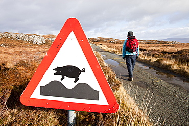 Sign warning of free-range pigs, Calums Road, built by Malcolm Macleod, Arnish, Isle of Raasay, Scotland, United Kingdom, Europe