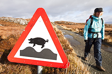 Sign warning of free-range pigs, Calums Road, built by Malcolm Macleod, Arnish, Isle of Raasay, Scotland, United Kingdom, Europe