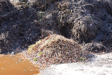 Organic compost heap at Growing with Grace, an organic fruit and vegetable growing co-operative based in Clapham in the Yorkshire Dales, Yorkshire, England, United Kingdom, Europe