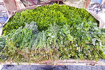 Mint and other herbs on a market stall in Marrakech, Morocco, North Africa, Africa