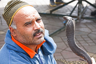 Snake charmer and snake in Marrakech, Morocco, North Africa, Africa