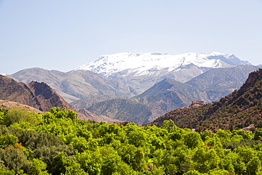 Snowy peaks in the Atlas mountains seen from Tinmel, Morocco, North Africa, Africa