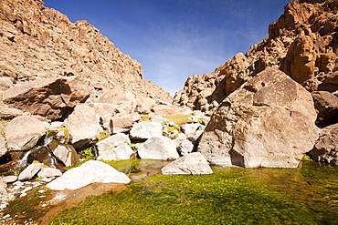 A mountain stream in the Anti Atlas mountains of Morocco, North Africa, Africa