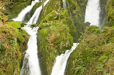 Stock Ghyll waterfall, Ambleside, Lake District, Cumbria, England, United Kingdom, Europe