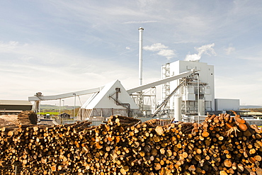 The Steven's Croft biofuel power station in Lockerbie, Scotland, United Kingdom, Europe