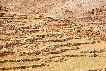 Field terraces above a Berber village in the Anti Atlas mountains of Morocco, North Africa, Africa