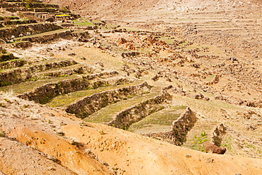 Field terraces above a Berber village in the Anti Atlas mountains of Morocco, North Africa, Africa