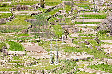 Field terraces above a Berber village in the Anti Atlas mountains of Morocco, North Africa, Africa