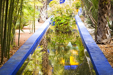 The Marjorelle Gardens in Marrakech, Morocco, North Africa, Africa