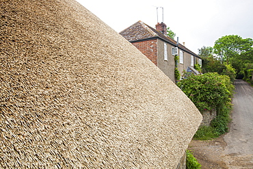 An old barn being re-thatched in the Dorset village of Symondsbury, Dorset, England, United Kingdom, Europe