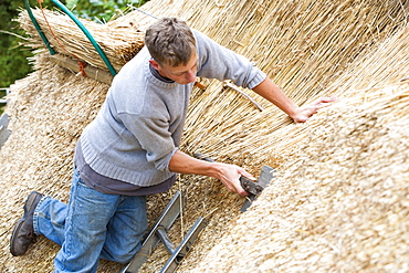 An old barn being re-thatched in the Dorset village of Symondsbury, Dorset, England, United Kingdom, Europe