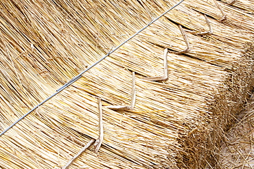 An old barn being re-thatched in the Dorset village of Symondsbury, Dorset, England, United Kingdom, Europe