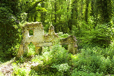 An old cottage in a wooded section of the undercliff, between Seaton and Lyme Regis, Dorset, England, United Kingdom, Europe