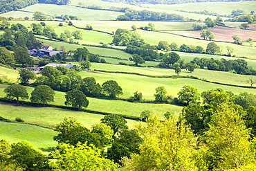 Farmland and countryside at Fishpond Bottom in Dorset, England, United Kingdom, Europe