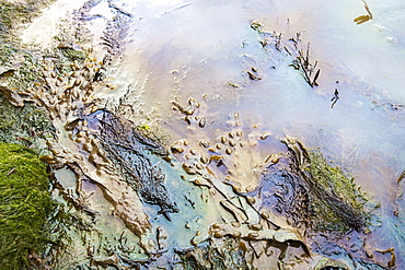 Oil pollution in Lyme Regis harbour, probably from a fishing vessel, Dorset, England, United Kingdom, Europe