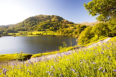 Rydal Water in spring, near Ambleside in the Lake District, Cumbria, England, United Kingdom, Europe