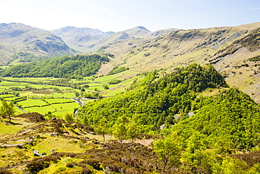 Looking down into the Borrowdale Valley near Keswick from Kings How, Lake District, Cumbria, England, United Kingdom, Europe