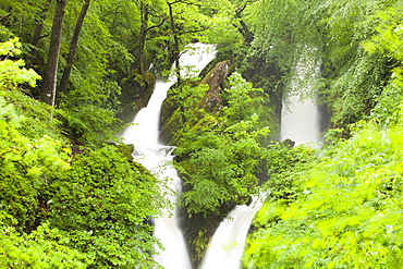 High water levels in Stock Ghyll, Ambleside, Lake District National Park, Cumbria, England, United Kingdom, Europe