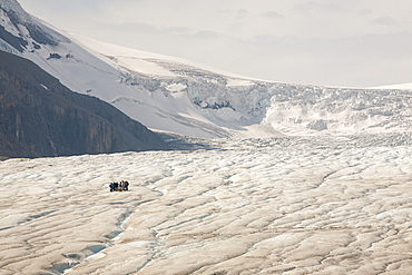 Meltwater channels and tourists on the Athabasca Glacier, Jasper National Park, UNESCO World Heritage Site, Alberta, Canadian Rockies, Canada, North America