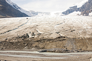 Meltwater channels and tourists on the Athabasca Glacier, Jasper National Park, UNESCO World Heritage Site, Alberta, Canadian Rockies, Canada, North America