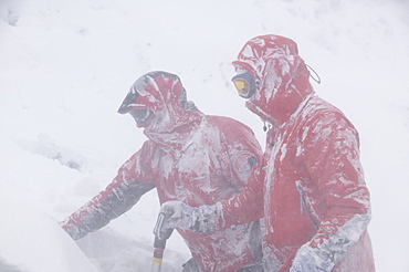 Mountaineers surviving atrocious conditions on Cairngorm, Scotland, United Kingdom, Europe