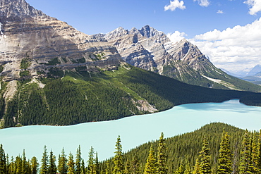 The stunningly beautiful Peyto Lake, Banff National Park, UNESCO World Heritage Site, Alberta, Canadian Rockies, Canada, North America