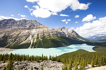 The stunningly beautiful Peyto Lake, Banff National Park, UNESCO World Heritage Site, Alberta, Canadian Rockies, Canada, North America