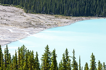 The delta at the entrance to the stunningly beautiful Peyto Lake, Banff National Park, UNESCO World Heritage Site, Alberta, Canadian Rockies, Canada, North America