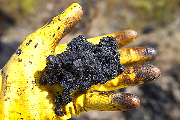 A hand full of tar sand, Alberta, Canada, North America