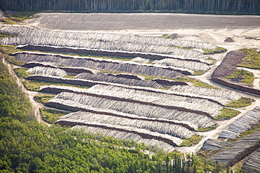 Boreal forest trees clear felled to make way for a new tar sands mine north of Fort McMurray, Alberta, Canada, North America