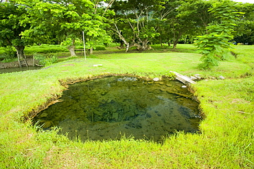 Thermal hot springs near Nadi on Fiji, Pacific