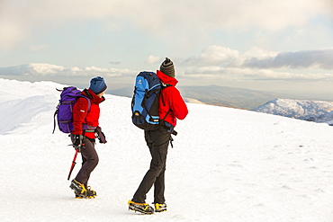 Walkers on the summit of Helvellyn in the snow, Lake District National Park, Cumbria, England, United Kingdom, Europe