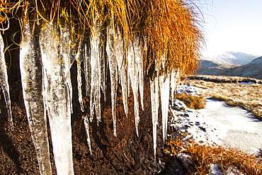 Icicles below Dollywagon Pike in the Lake District National Park, Cumbria, England, United Kingdom, Europe