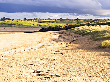 The Camel Estuary below Padstow, Cornwall, England, United Kingdom, Europe