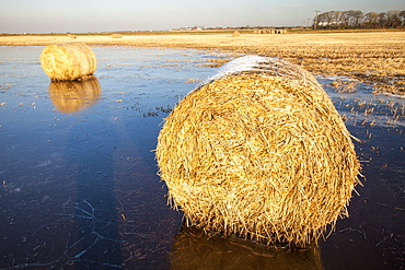 Straw bales on a flooded field on the Fylde, in Lancashire, England, United Kingdom, Europe