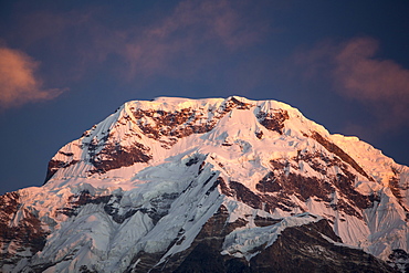 Alpenglow at sunrise on Annapurna South, Nepalese Himalayas, Nepal, Asia